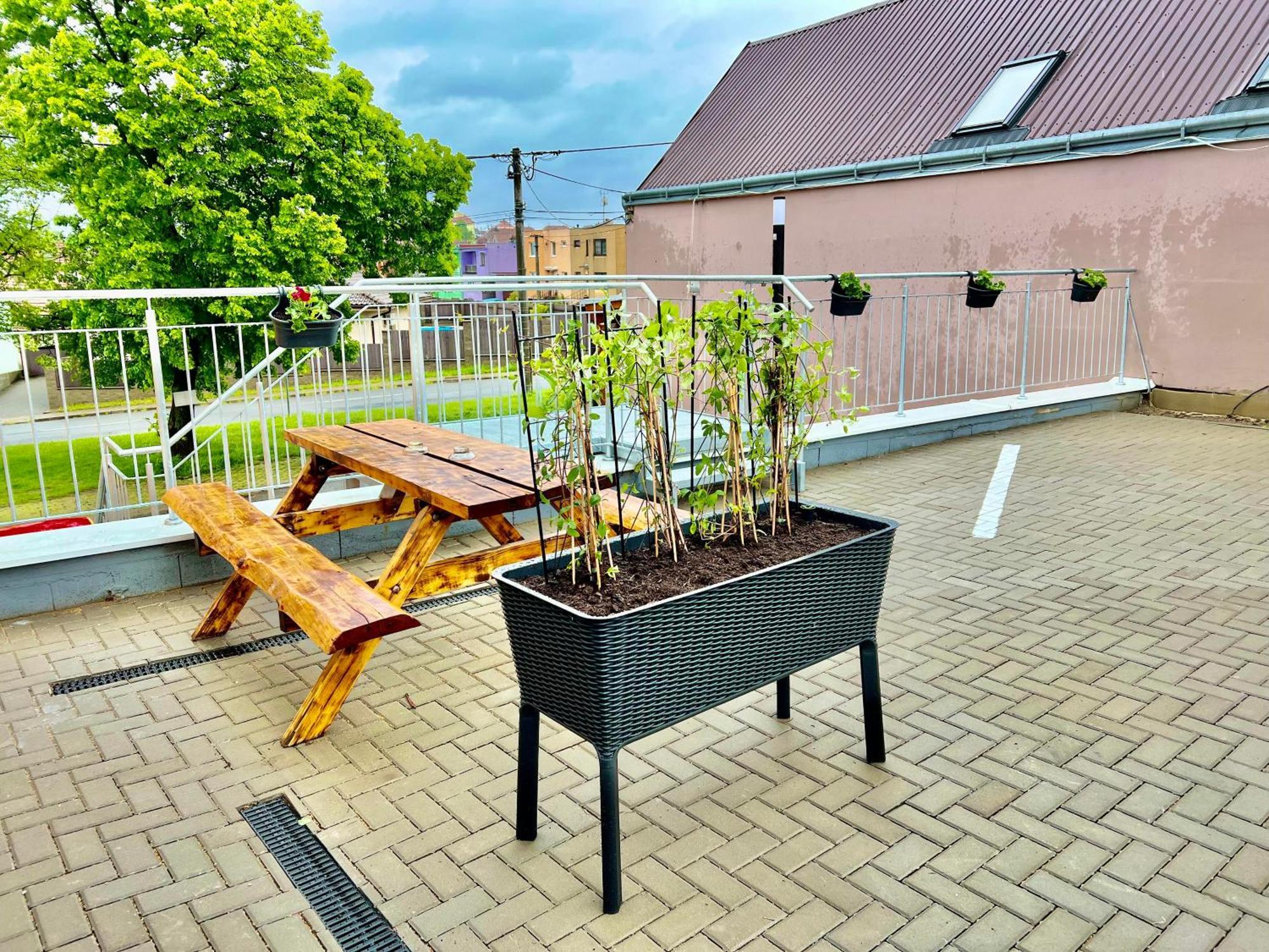 Penzion víno sklep U Palečků Zajeci Exterior foto